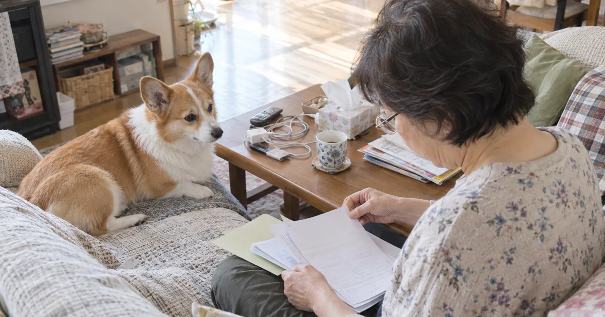 ソファで書類をファイルに整理する60代の女性と、隣で見守るウェルシュコーギー
