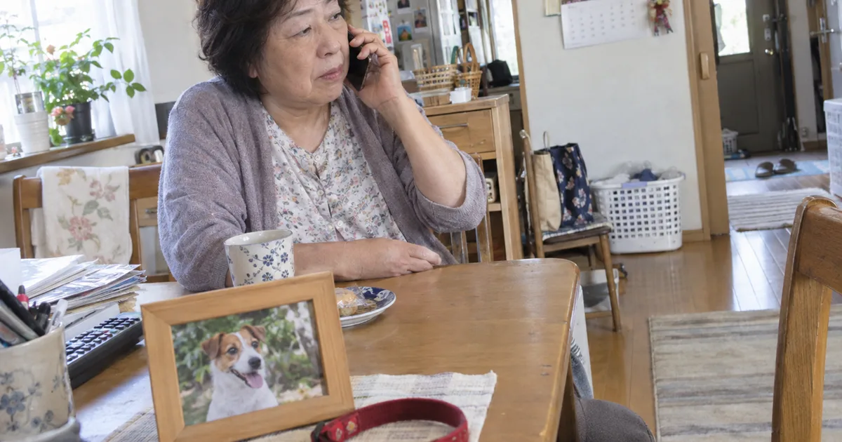 ジャックラッセルテリアの写真と首輪を前に電話をかける60代の女性